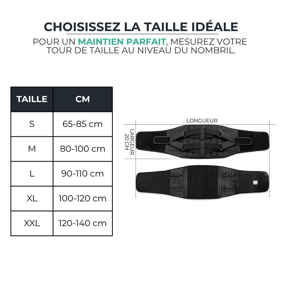 Ceinture de Soutien Lombaire - Double Traction Orthopédique, Soulagement Dos & Maintien Postural BackForce   VENITHY