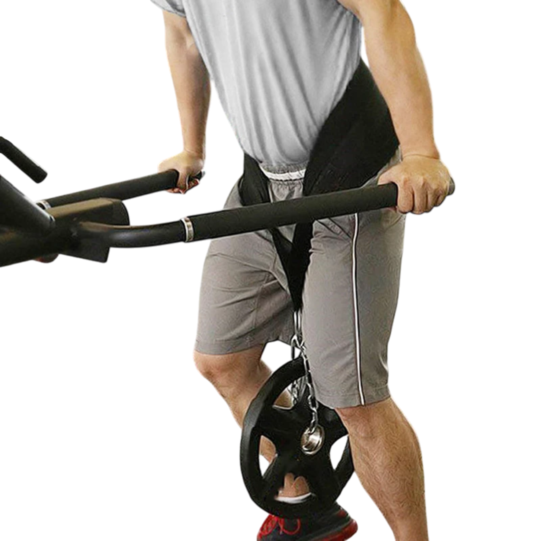 Ceinture de levage bulk : avec chaîne - Musculation & Cross Training BULKFORCE   VENITHY