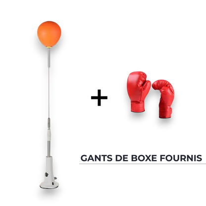 Ballon de réaction boxe - Hauteur réglable, ventouse stable et entraînement complet Reflex Pro   VENITHY