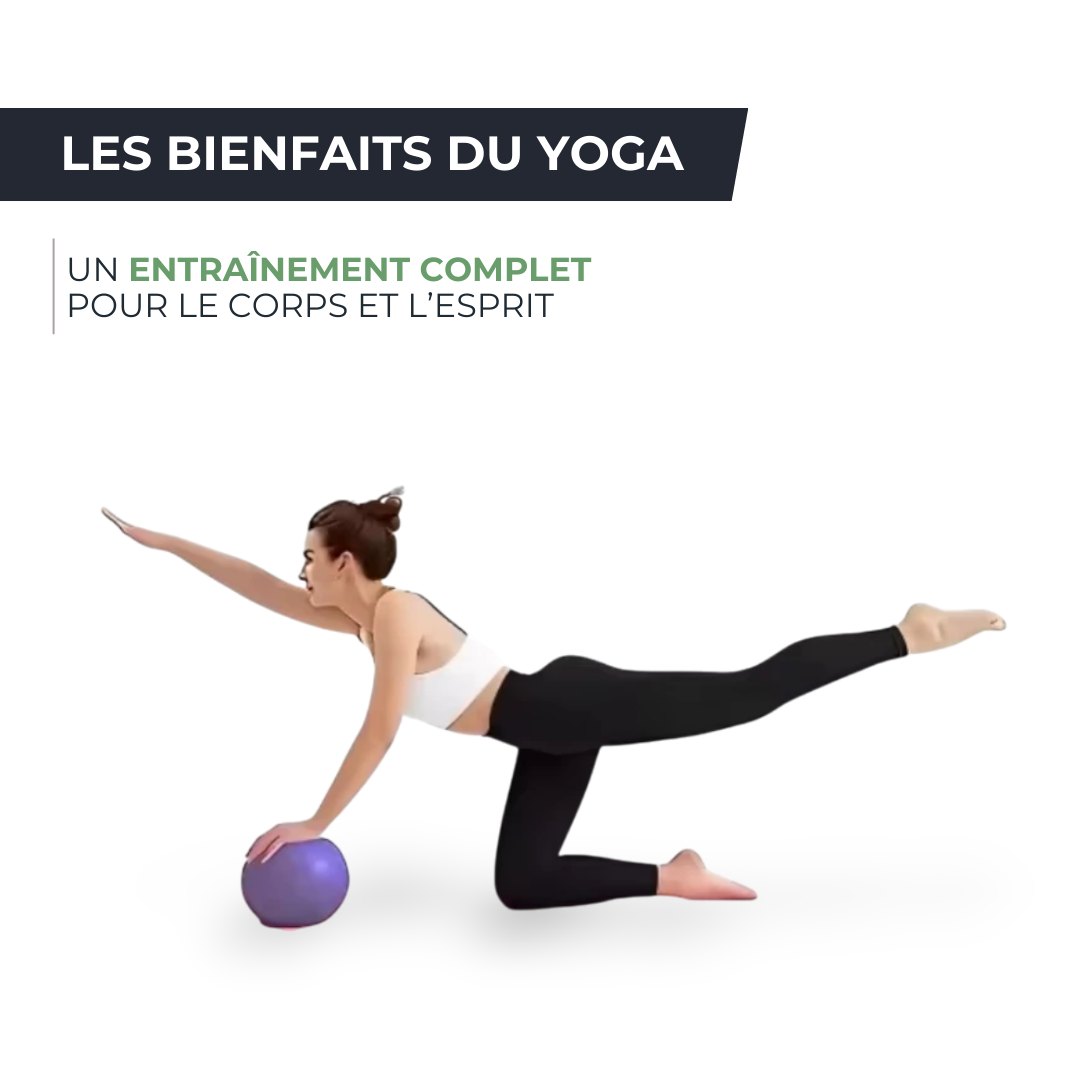 Ballon de Gym Anti-Explosion - Yoga, Fitness, Renforcement Musculaire CORESPHERE   VENITHY