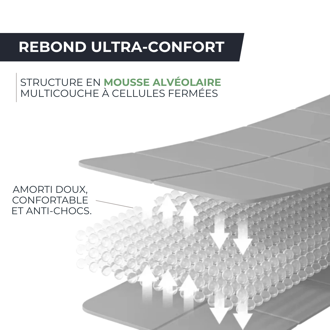 FAIT Tapis de Yoga Zenform™ Pro Mat – TPE Antidérapant & Épaisseur Confort 5 mm Zenform   VENITHY