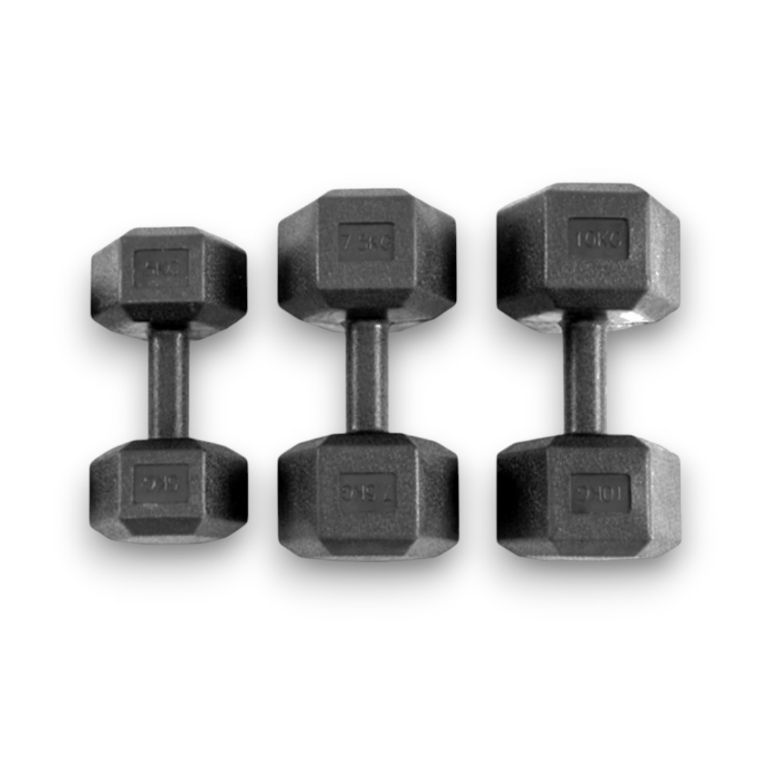 Haltère hexagonale - Revêtement PVC Antichoc, Prise Confort et Stabilité Totale IRONIX   VENITHY