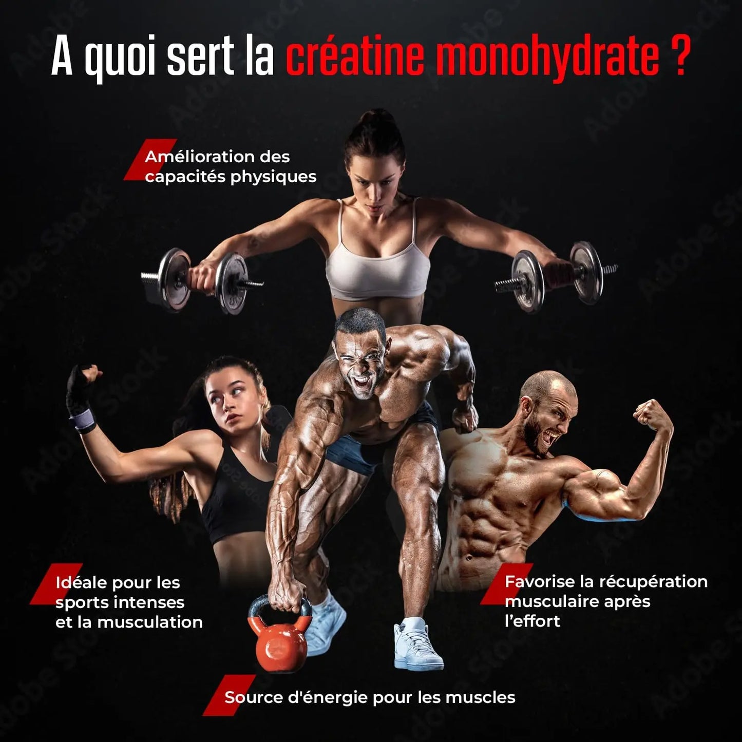 Créatine Monohydrate Creapure® en Poudre NUTRIMEA   VENITHY