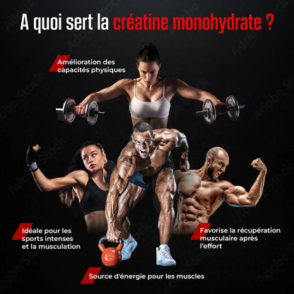 Créatine Monohydrate Creapure® en Poudre NUTRIMEA   VENITHY