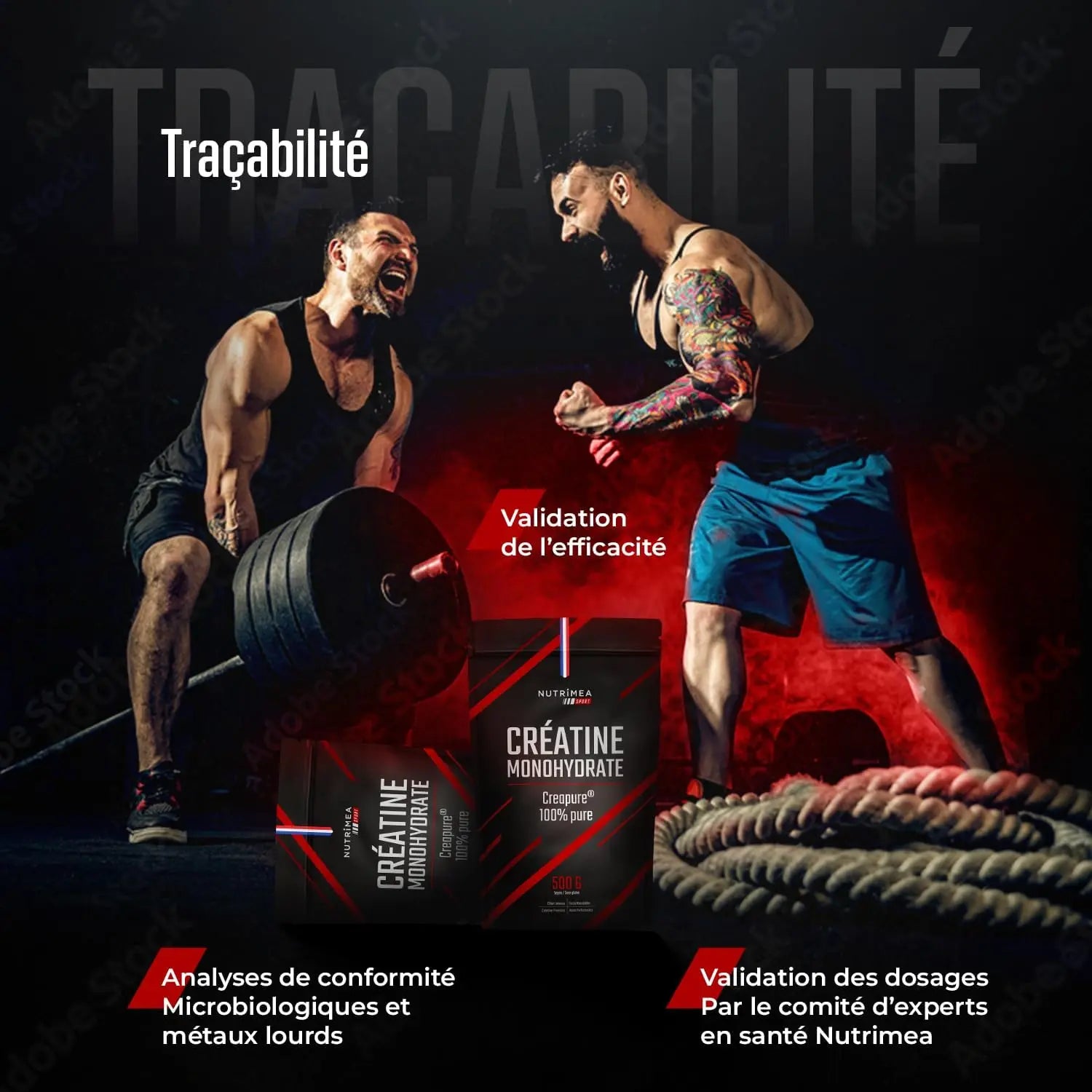 Créatine Monohydrate Creapure® en Poudre NUTRIMEA   VENITHY