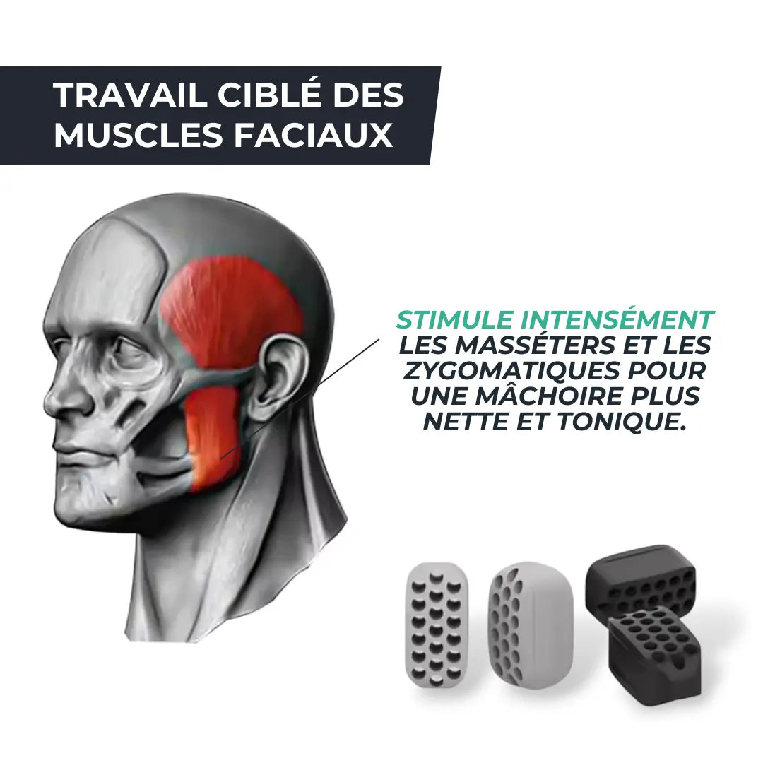 Entraîneur de Mâchoire en Silicone – Raffermissement du Visage & Jawline Sculptée MSCULEA   VENITHY