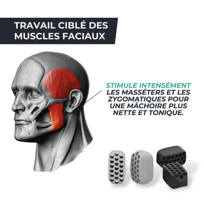 Entraîneur de Mâchoire en Silicone – Raffermissement du Visage & Jawline Sculptée MSCULEA   VENITHY